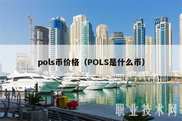 pols币价格(POLS是什么币)